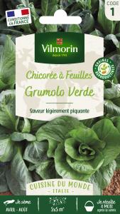 Chicorée à Feuilles Grumolo Verde - Cuisine du Monde